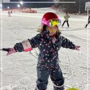 비발디스키아카데미