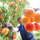 경암농장 이미지