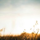 도마태평양약국 | NMN을 복용한 후, 사람들이 저보고 젊어졌대요 – 약사 가족의 진짜 체험기