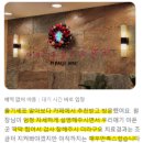 미래지동물의료센터 이미지