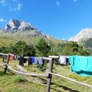 우리소다 이미지