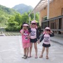 미림황토별펜션 이미지