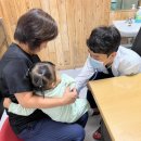 강진군보건소 이미지