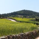 청산도횟집 이미지