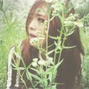 레드라이트 이미지