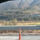 강촌초코민트 이미지