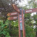 화곡 교차로 이미지