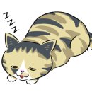 갈맷길 5코스 5-1구간 이미지