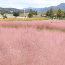 신소양체육공원 이미지