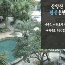 파파월드 이미지