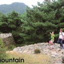 서대전 네거리역(1) 이미지