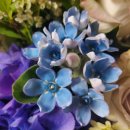 모현재가방문요양센터 이미지