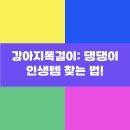 멋내는 강아지 이미지