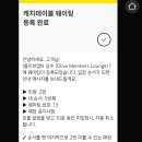 N올리브