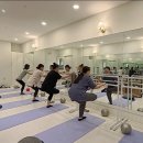 다빈치짐 에르소필라테스 | [바레] 바레는 어떤 운동인가요? #양주바레 #고읍바레 #에르소필라테스