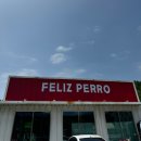 펠리스빼로 이미지