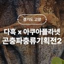 가-2 | 유튜버 다흑 곤충 파충류 기획전2 내돈내산 관람 후기 실내 아이랑 가볼만한곳