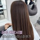 메르시엘 | 운정 미용실 추천 메르시엘 케라스타즈 두피스파 솔직 후기