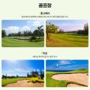 알파월드 이미지