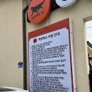 제일장성 | 광주근교 대형 애견카페, 장성 게르메스 내돈내산 후기