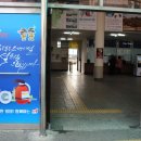 캘리그라피 활용 이미지