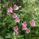 묵동-071 이미지