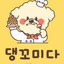 댕꼬미다 이미지