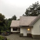 파인트리비 이미지