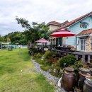 프렌즈 애견 이미지