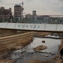 발안천 산책로 이미지