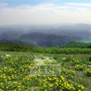 일월산 - 서산시 남부순환로 1033 | 일월산