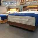 금성 | 🛏 금성침대 트윈침대 설치 후기 [ 금성침대 이시아 아울렛 직영점 종합 후기 ]