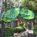 구봉산 치유숲길 입구 이미지