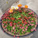 후문편의점 | 서울시립대 후문 '온반한상' 솔직후기 (혼밥은 좋지만 요일메뉴는 아쉬움)