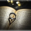 대구애견 이미지