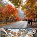 (주)넥스투어 머니투데이