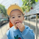 어린왕자어린이집 이미지