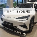 부사전기 | 요즘 난리난 BYD 전기차 직접 타봤습니다｜부산 전시장 시승 솔직후기