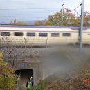 지천면사무소 이미지