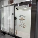 cat 3/4 | 🐱 지축동 고양이 전용 미용실, 캣.푸치노(CAT.PUCCINO) 4번째 재방문 후기