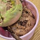 109-금촌2-109 이미지