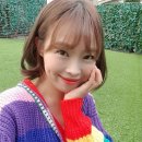 브라운랩 이미지