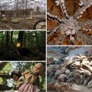 곤지암 동물병원 이미지