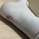 보숭이는 아직 애기라고요
