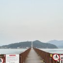 가우도 | 강진 가볼만한 곳 가우도 출렁다리 | 바다 보며 걷는 감성 산책길 (+주차 팁)