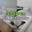 올인크리닝 이미지