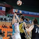 용인대 승리체육관 이미지