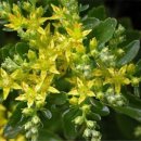 기린초등학교 이미지