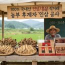 농민후계자인삼사