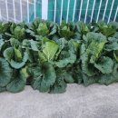 레몬공인중개사사무소 이미지